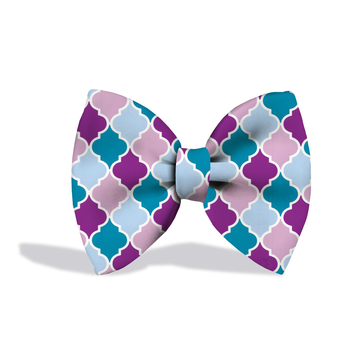 Pawsindia Colourful Pattern Bow Tie